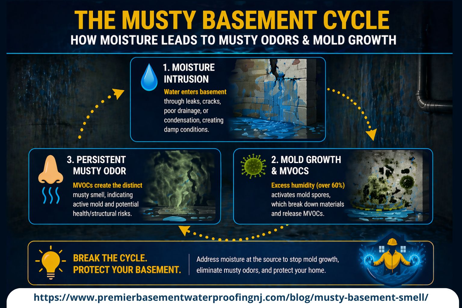 user-inserted Infographic explaining the musty basement cycle: moisture intrusion, mold growth, and persistent musty odor. Highlights the causes of basement moisture, mold spores, and the release of MVOCs, which lead to distinct musty smells. Includes a call to action on protecting the basement from moisture-related issues.